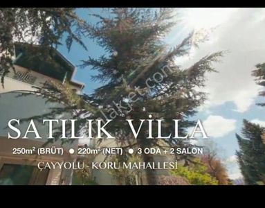 Konut-Villa