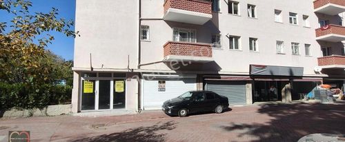 İşyeri-Dükkan & Mağaza