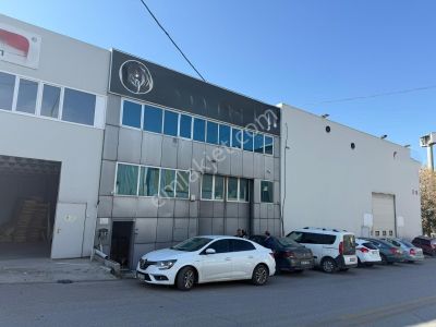 İşyeri-Dükkan & Mağaza