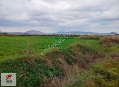 Foça Bağarası'nda İmar Sınırında Tüm Hisseleriyle Satılık Arsa