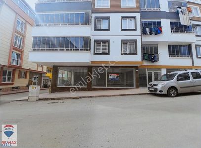 İşyeri-Dükkan & Mağaza