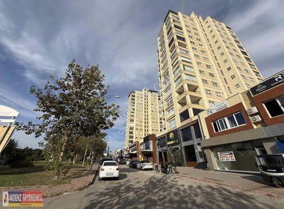 İşyeri-Dükkan & Mağaza