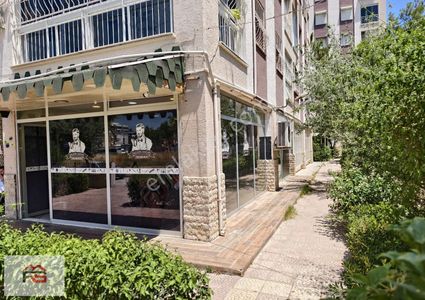 İşyeri-Dükkan & Mağaza