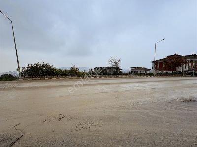 Arsa-Konut+Ticaret Alanı