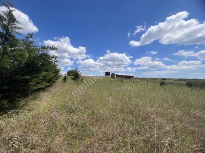 Arsa-Özel Kullanım