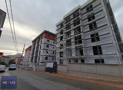 İşyeri-Dükkan & Mağaza