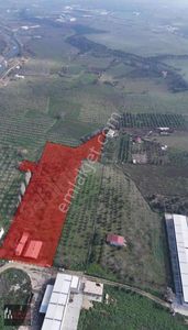 Arsa-Depo, Antrepo İzinli