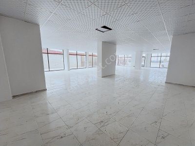 İşyeri-Dükkan & Mağaza