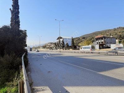 Arsa-Konut+Ticaret Alanı