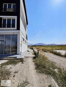 İşyeri-Dükkan & Mağaza