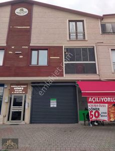 İşyeri-Dükkan & Mağaza