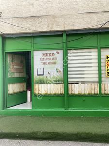 İşyeri-Dükkan & Mağaza