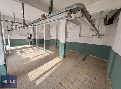 İşyeri-Dükkan & Mağaza