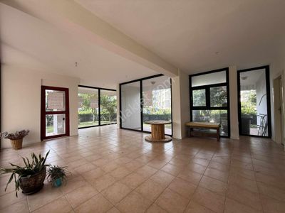 İşyeri-Dükkan & Mağaza