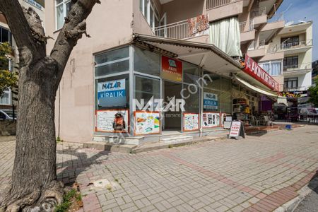 İşyeri-Dükkan & Mağaza