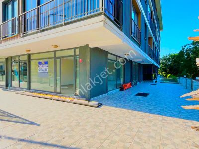 İşyeri-Dükkan & Mağaza