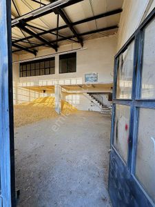 İşyeri-Dükkan & Mağaza