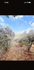 Arsa-Turizm İmarlı