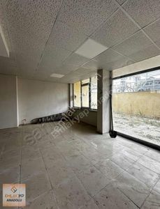 İşyeri-Dükkan & Mağaza