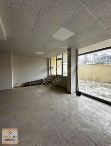 İşyeri-Dükkan & Mağaza