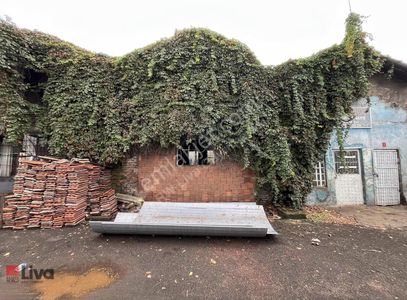 İşyeri-Dükkan & Mağaza