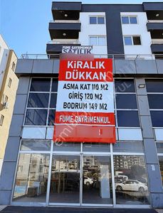 İşyeri-Dükkan & Mağaza