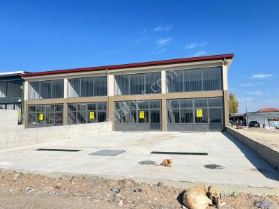 İşyeri-Dükkan & Mağaza