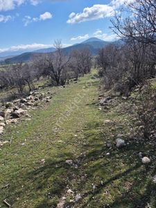 Isparta Gönende Yola Sıfır Hobi Bahçesi Videoyu İzlemeyi Unutmayın