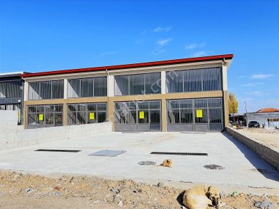 İşyeri-Dükkan & Mağaza