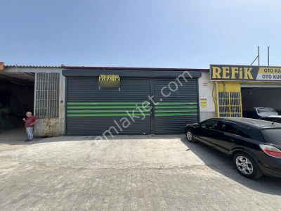 İşyeri-Dükkan & Mağaza