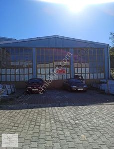 İşyeri-Dükkan & Mağaza