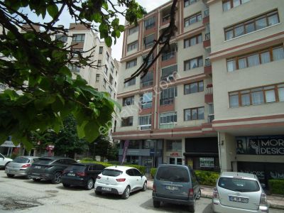 İşyeri-Dükkan & Mağaza