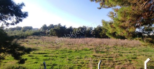 Soğucakta İnşaata Hazır Kelepir Villa Arazisi