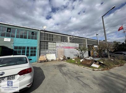 İşyeri-Dükkan & Mağaza