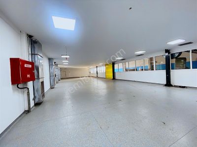 İşyeri-Dükkan & Mağaza