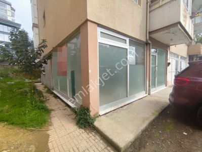 İşyeri-Dükkan & Mağaza