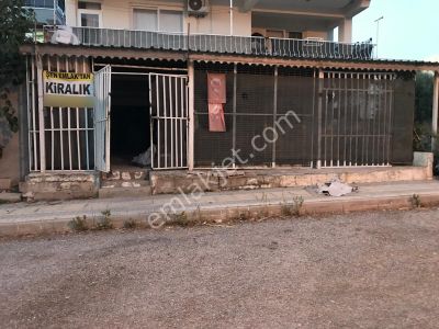 İşyeri-Dükkan & Mağaza