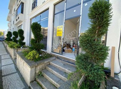 İşyeri-Dükkan & Mağaza