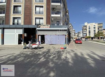 İşyeri-Dükkan & Mağaza