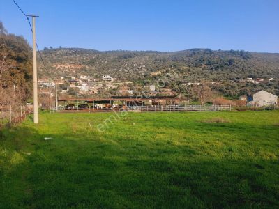 Bodrum Muğla Yolu Uzerı Savran Köyünde 3100m² Köy İçi Tarla