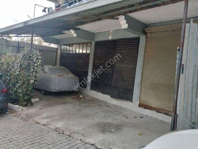 İşyeri-Dükkan & Mağaza