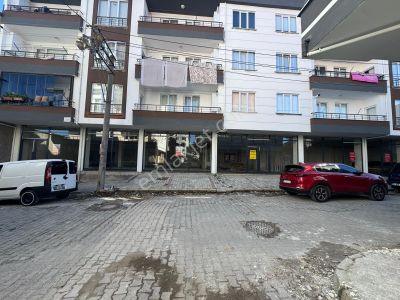 İşyeri-Dükkan & Mağaza