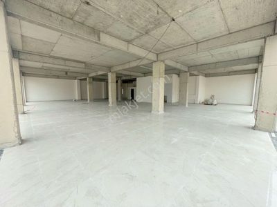 İşyeri-Dükkan & Mağaza