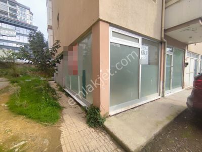 İşyeri-Dükkan & Mağaza