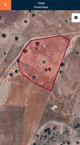 Korkutelı Taşkesıgı Mah. 8187 M2 Tarla