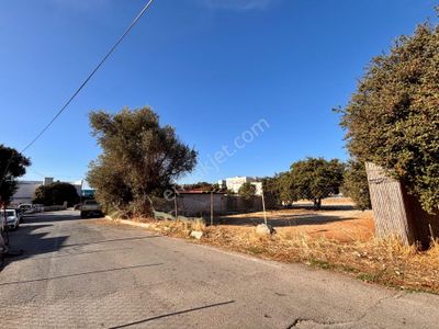 Arsa-Özel Kullanım