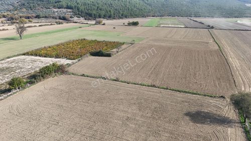 Muğla Menteşe Yeşilyurt Mah. Satılık 2.920 M2 Tarla