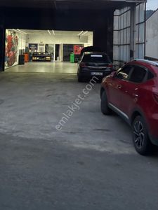 İşyeri-Dükkan & Mağaza