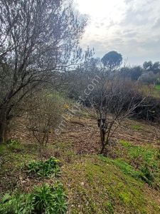 Arsa-Turizm/Konut Alanı