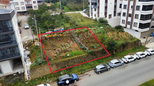 Arsa-Konut+Ticaret Alanı